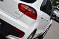 Kia Rio Titan 1,2 MPI / Service & Pickerl & Bremse NEU / Weiß - thumbnail 8