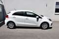 Kia Rio Titan 1,2 MPI / Service & Pickerl & Bremse NEU / Weiß - thumbnail 3