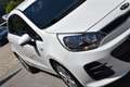 Kia Rio Titan 1,2 MPI / Service & Pickerl & Bremse NEU / Weiß - thumbnail 10