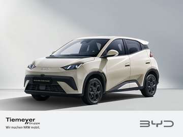 BYD DOLPHIN SURF Comfort