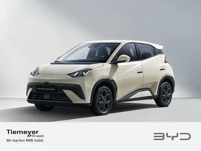 Byd Dolphin main image