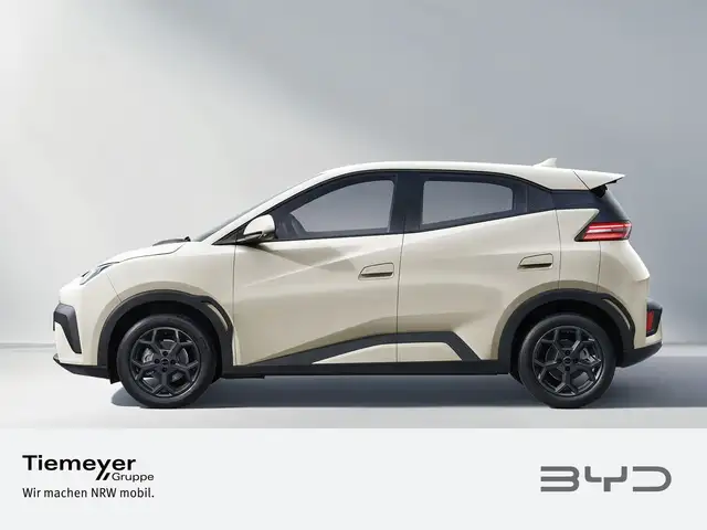 Byd Dolphin view 2