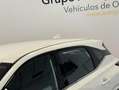 Nissan Qashqai ACENTA Blanco - thumbnail 38