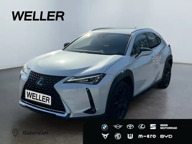 Lexus UX 250h Amazing Edition *Bi-LED*SHZ*CAM*CarPlay*