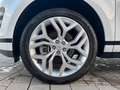Land Rover Range Rover Evoque D165 AWD R-Dynamic SE ACC Weiß - thumbnail 9