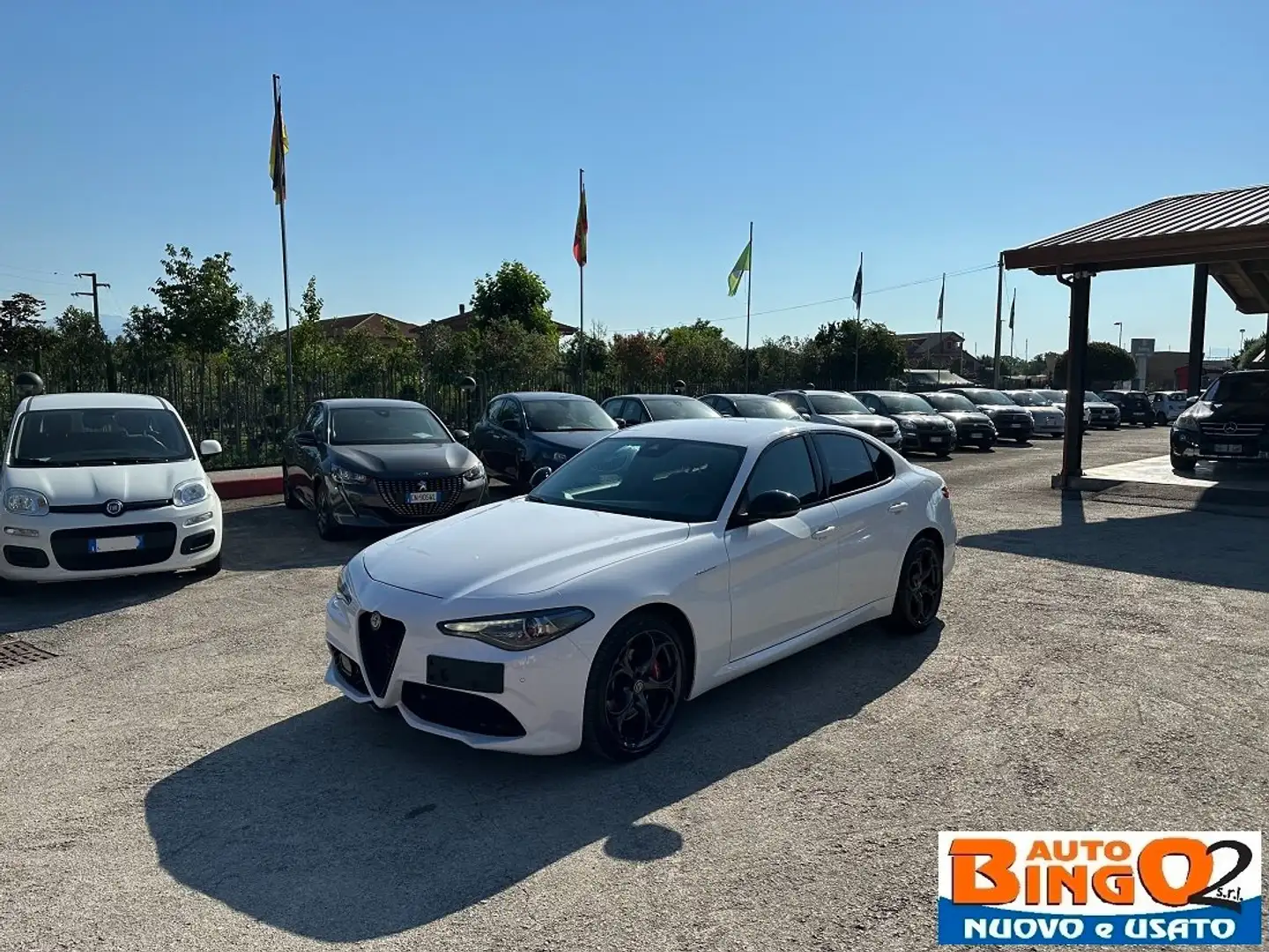 Alfa Romeo Giulia Giulia 2.0 t Veloce Q4 280cv awd auto my19 Белый - 1