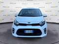 Kia Picanto III 2017 1.0 Cool Gpl Blanco - thumbnail 2