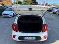 Kia Picanto III 2017 1.0 Cool Gpl Blanco - thumbnail 20