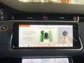 Land Rover Range Rover Evoque Range Rover Evoque 1.5 P300 Phev SE 4wd auto E6D Blanc - thumbnail 21