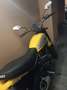 Ducati Scrambler Icon Auriu - thumbnail 4