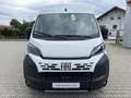 Fiat Ducato KASTENWAGEN MAXI 35 L4H2 180 AT - thumbnail 12