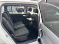 Volkswagen Touran Business PANO STDHZ EASYOPEN RFK ACC AHK Weiß - thumbnail 21