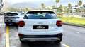 Audi Q2 1.6TDI Advanced S tronic 85kW Bianco - thumbnail 5