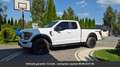 Ford FX4 Ethanol SuperCab 4x4 Tout compris hors homologation 4500e Белый - thumbnail 25