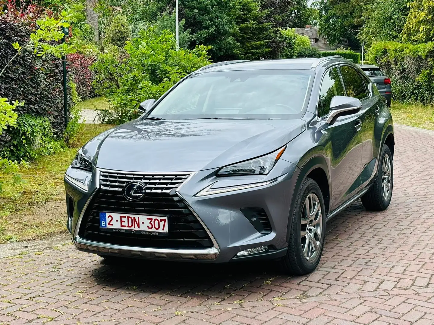 Lexus NX 300h NX 300h Executive Line Gris - 1