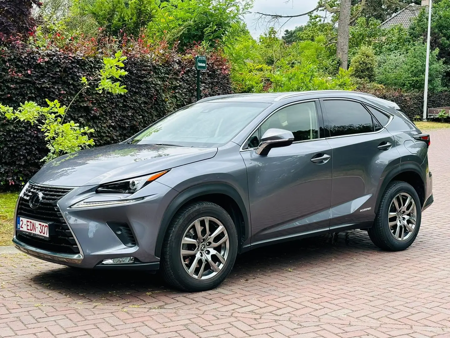 Lexus NX 300h NX 300h Executive Line Gris - 2