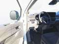 Volkswagen T7 Transporter Kasten TDI LR *ACC*AHK*RFK*EPH* Blanc - thumbnail 14