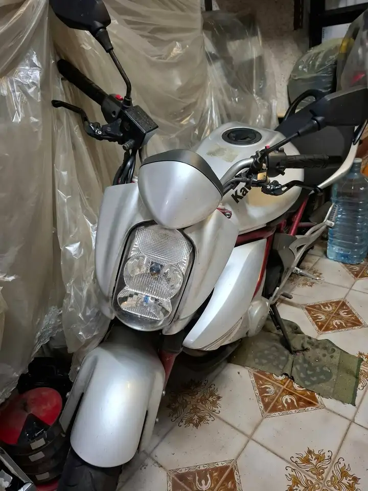 Kawasaki ER