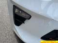 Kia Ceed SW / cee'd SW 1.4 mpi Pure 100cv Blanco - thumbnail 26