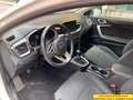 Kia Ceed SW / cee'd SW 1.4 mpi Pure 100cv Blanco - thumbnail 48