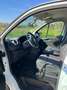 Fiat Talento Blanco - thumbnail 13