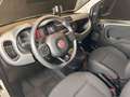 Fiat Panda 1.0 FireFly S&S Hybrid City Cross Bianco - thumbnail 10