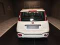 Fiat Panda 1.0 FireFly S&S Hybrid City Cross Bianco - thumbnail 6