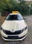 Skoda Octavia Octavia Combi 1.6 TDI DSG Ambition - thumbnail 2