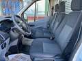 Ford Transit 310 L2 Einzelkabine,9.160€ netto Weiß - thumbnail 7