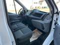 Ford Transit 310 L2 Einzelkabine,9.160€ netto Weiß - thumbnail 5