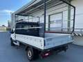 Ford Transit 310 L2 Einzelkabine,9.160€ netto Weiß - thumbnail 4