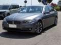 BMW 520 Serie 5 F11 Touring 520d Touring Luxury 190cv Grigio - thumbnail 1