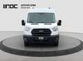 Ford Transit Kasten 2,0 EcoBlue L2H2 350 Trend Regal-Ausbau/... Weiß - thumbnail 8