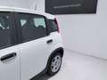 Fiat Panda 1.0 Gse Hybrid Pack Comfort Plus Bianco - thumbnail 11