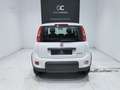 Fiat Panda 1.0 Gse Hybrid Pack Comfort Plus Blanco - thumbnail 17