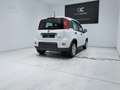 Fiat Panda 1.0 Gse Hybrid Pack Comfort Plus Blanco - thumbnail 22