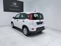 Fiat Panda 1.0 Gse Hybrid Pack Comfort Plus Blanco - thumbnail 19