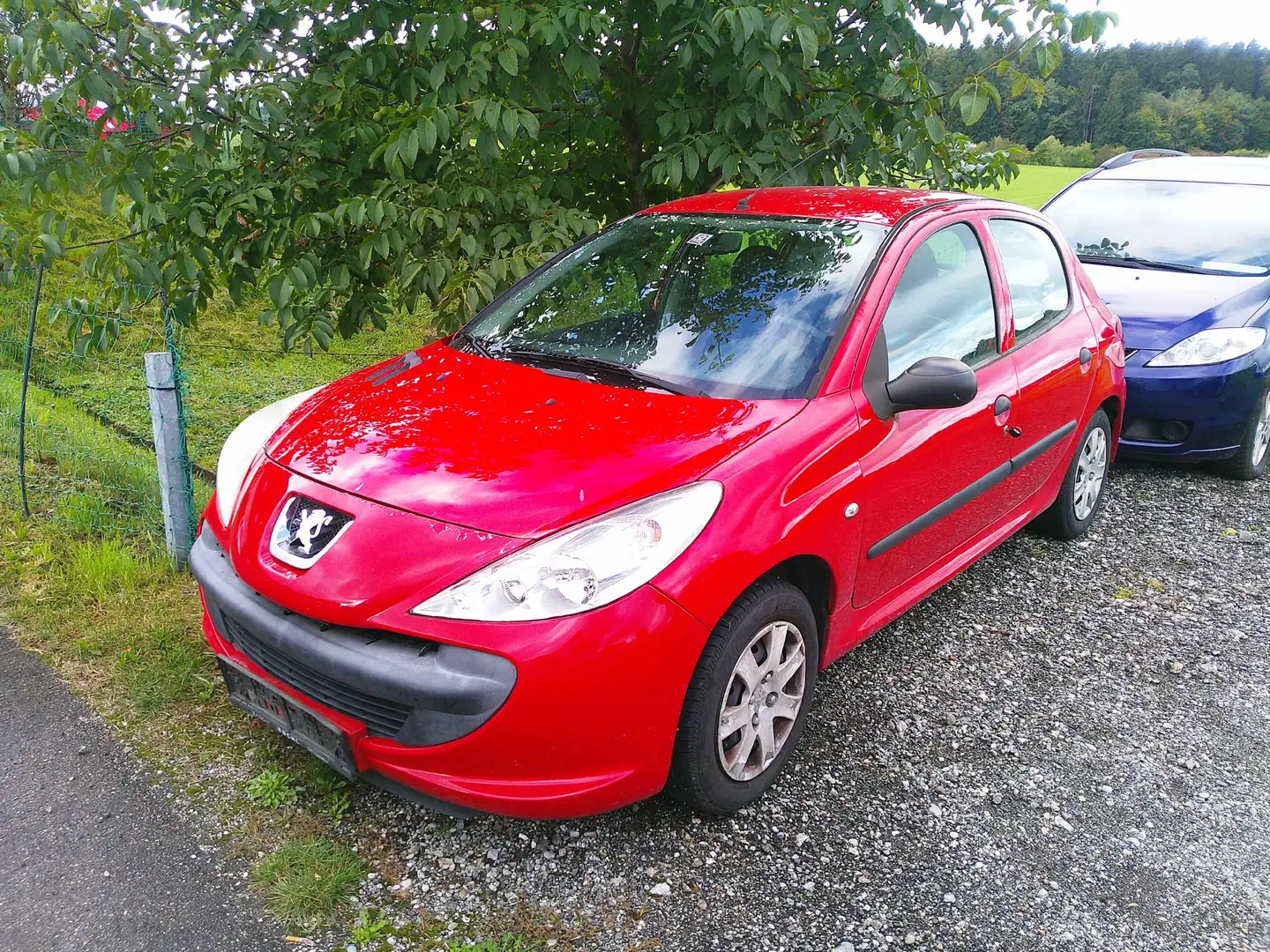 Peugeot 206 206+ Junior 1,1 Junior Rot - 1