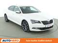 Skoda Superb 2.0 TDI Ambition*NAVI*PDC*SHZ*TEMPO*XENON*KLIMA* Biały - thumbnail 8