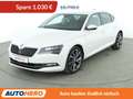 Skoda Superb 2.0 TDI Ambition*NAVI*PDC*SHZ*TEMPO*XENON*KLIMA* Biały - thumbnail 1