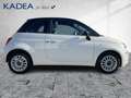 Fiat 500 1.0 Dolcevita PANORAMADACH+Klima+Parksensoren Wit - thumbnail 5