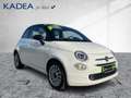 Fiat 500 1.0 Dolcevita PANORAMADACH+Klima+Parksensoren Weiß - thumbnail 6