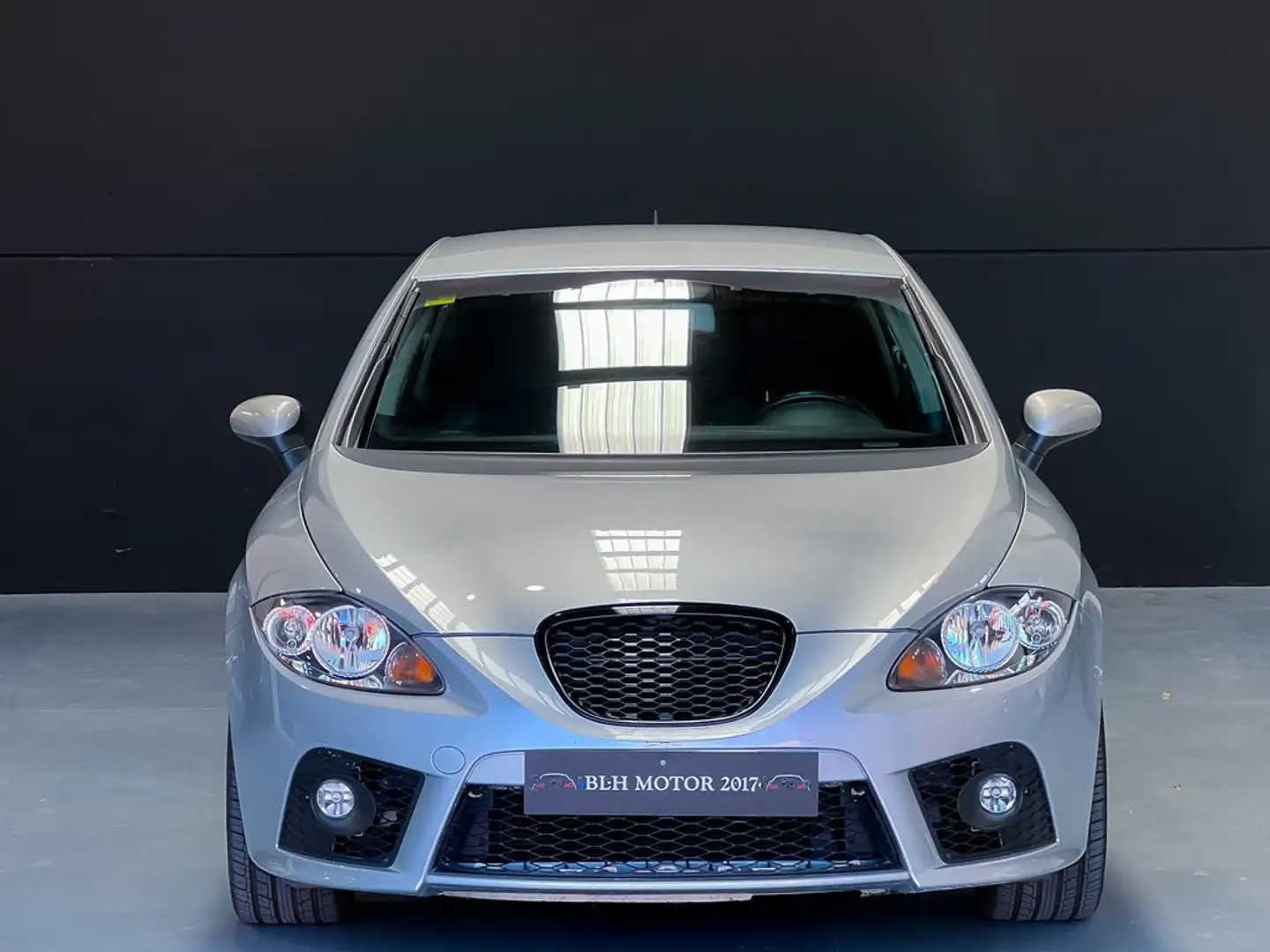 SEAT Leon 2.0 TDI 170cv FR Grigio - 2