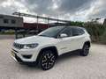 Jeep Compass 1.4 170pk Limited 4x4 Automaat, BEATS, trekhaak, V Wit - thumbnail 47