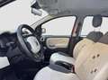 Fiat Panda 0.8 benzina 85 cv 2012 Rosso - thumbnail 10