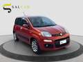 Fiat Panda 0.8 benzina 85 cv 2012 Rosso - thumbnail 3