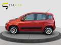 Fiat Panda 0.8 benzina 85 cv 2012 Rosso - thumbnail 8