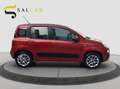 Fiat Panda 0.8 benzina 85 cv 2012 Rosso - thumbnail 6