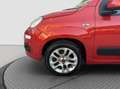 Fiat Panda 0.8 benzina 85 cv 2012 Rosso - thumbnail 7