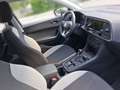SEAT Ateca Reference Edition 1.0 TSI - thumbnail 15